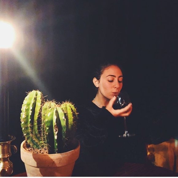 Meet your Posher, Bailey - Picture 1 of 1